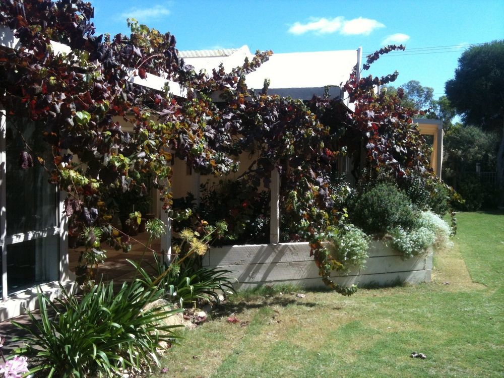 Bellevue Bed & Breakfast Mclaren Vale Bagian luar foto
