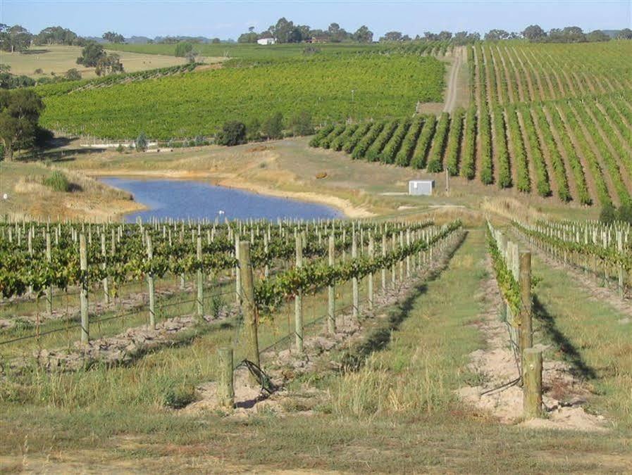 Bellevue Bed & Breakfast Mclaren Vale Bagian luar foto