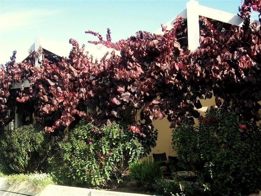 Bellevue Bed & Breakfast Mclaren Vale Bagian luar foto